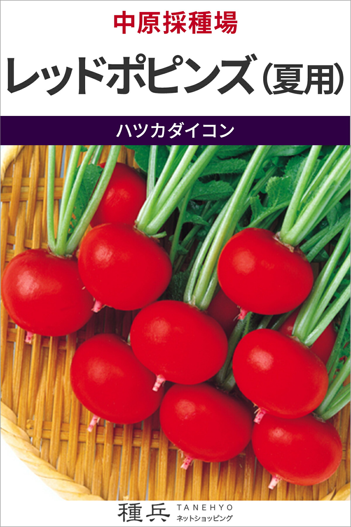 ハツカダイコン 種 『レッドポピンズ（夏用）』 中原採種場
