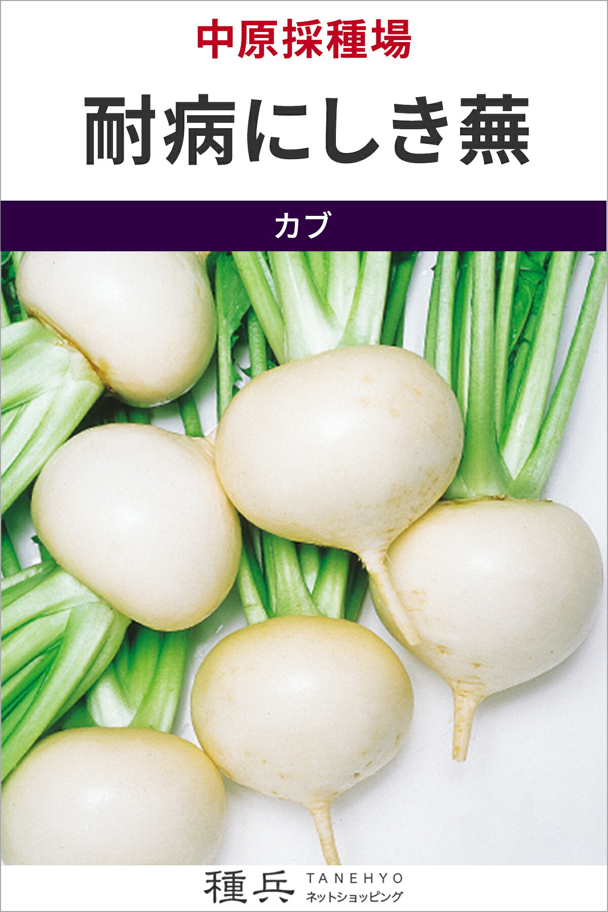 カブ 種 『耐病にしき蕪』 中原採種場｜種兵ネットショッピング 10,124円