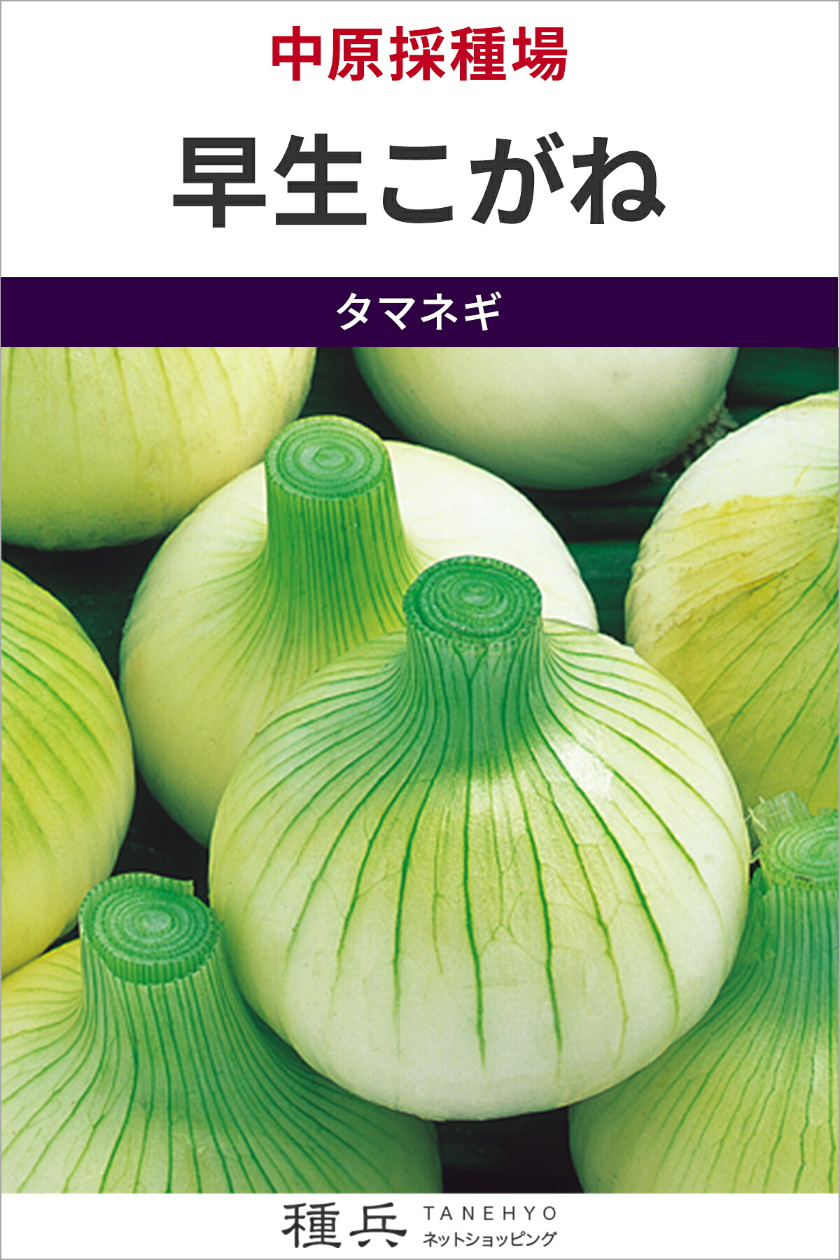 早生玉ねぎ 種 『早生こがね』 中原採種場 11,165円
