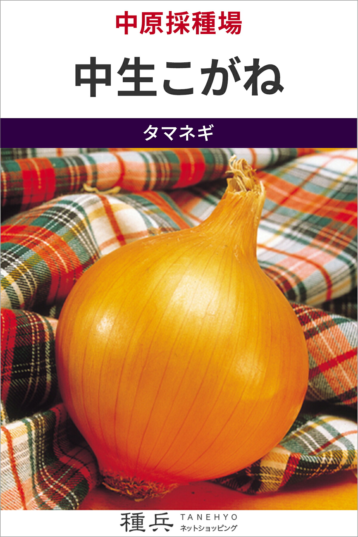 中生玉葱 種 『中生こがね』  中原採種場