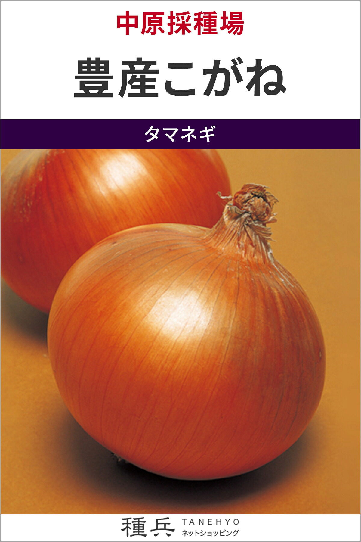 中生玉葱 種 『豊産こがね』  中原採種場