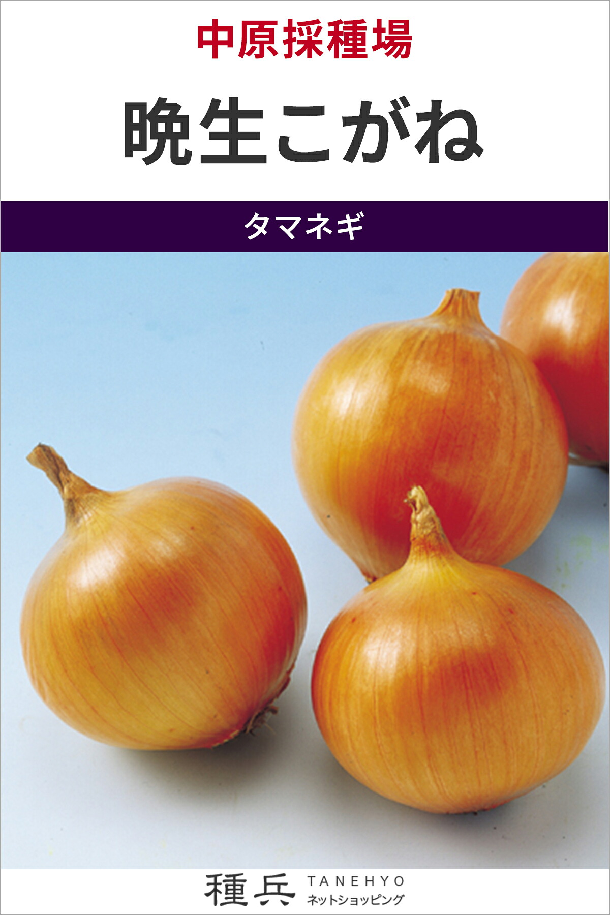 晩生玉葱 種 『晩生こがね』  中原採種場