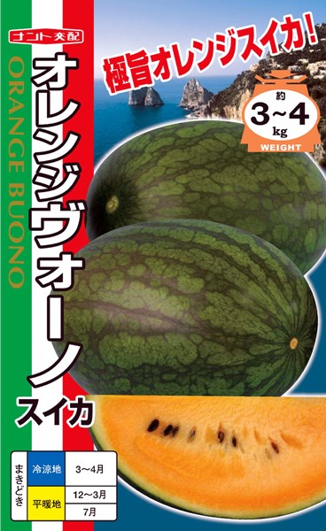 サマーオレンジスイカ10.5キロ
