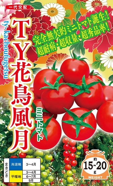 楽天市場 ミニトマト 種 Ty花鳥風月 15粒 ナント種苗 種兵ネットショッピング