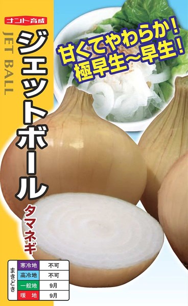 楽天市場】超極早生タマネギ 種 『浜笑』 カネコ種苗/20ml : 種兵ネットショッピング