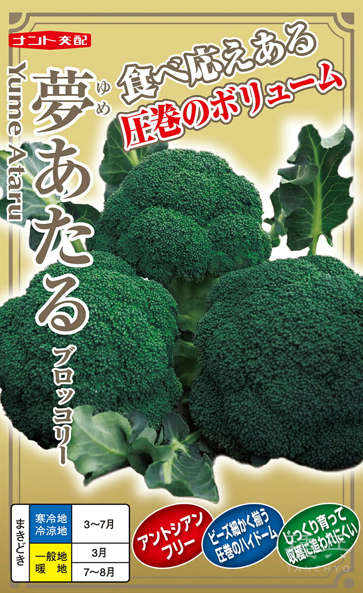ブロッコリ 種 『夢あたる』  ナント種苗