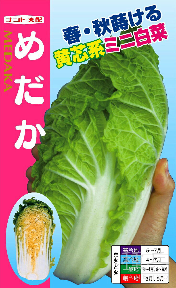 トキタ　真夏の四番打者　小松菜　種　こまつな　1個 楽天市場】トキタ種苗 コマツナ こまつな 小松菜 真夏の四番打者 小袋