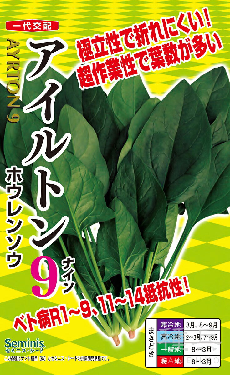 ホウレンソウ 種 『アイルトン９』 ナント種苗
