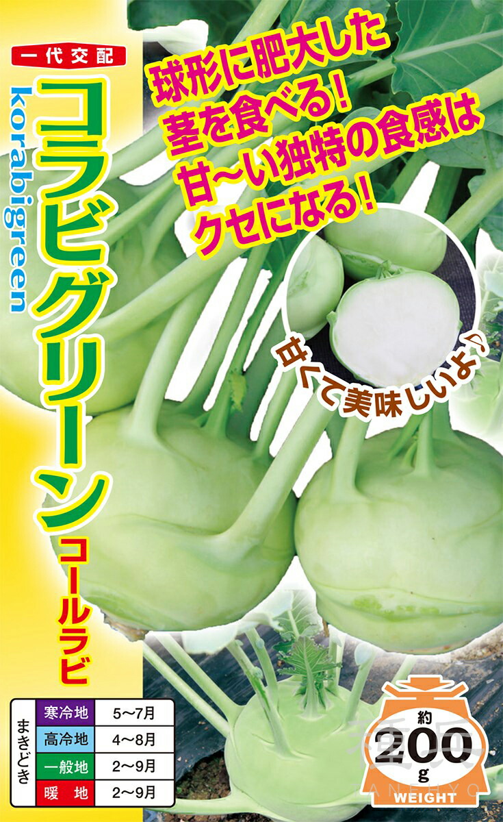 コールラビ 種 『コラビグリーン』 ナント種苗