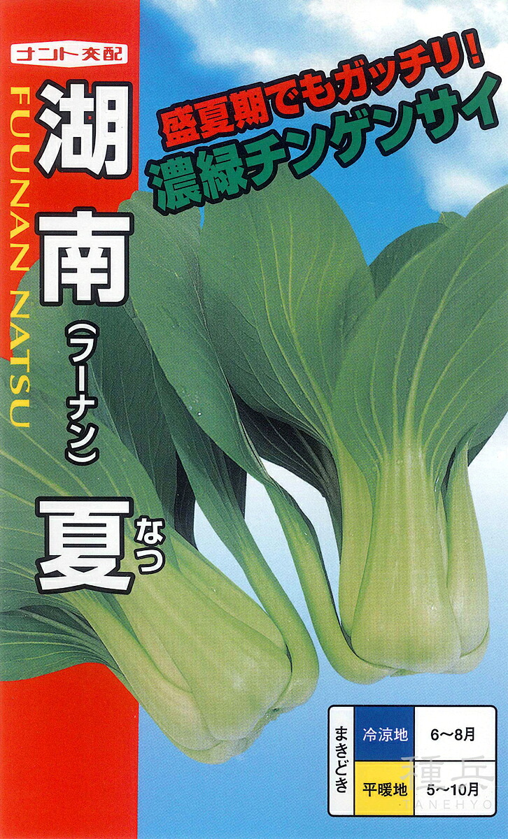 チンゲンサイ 種 『湘南夏チンゲンサイ』 ナント種苗