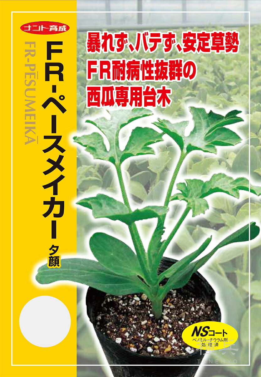 スイカ台木（夕顔） 種 『FR-ペースメイカー』  ナント種苗