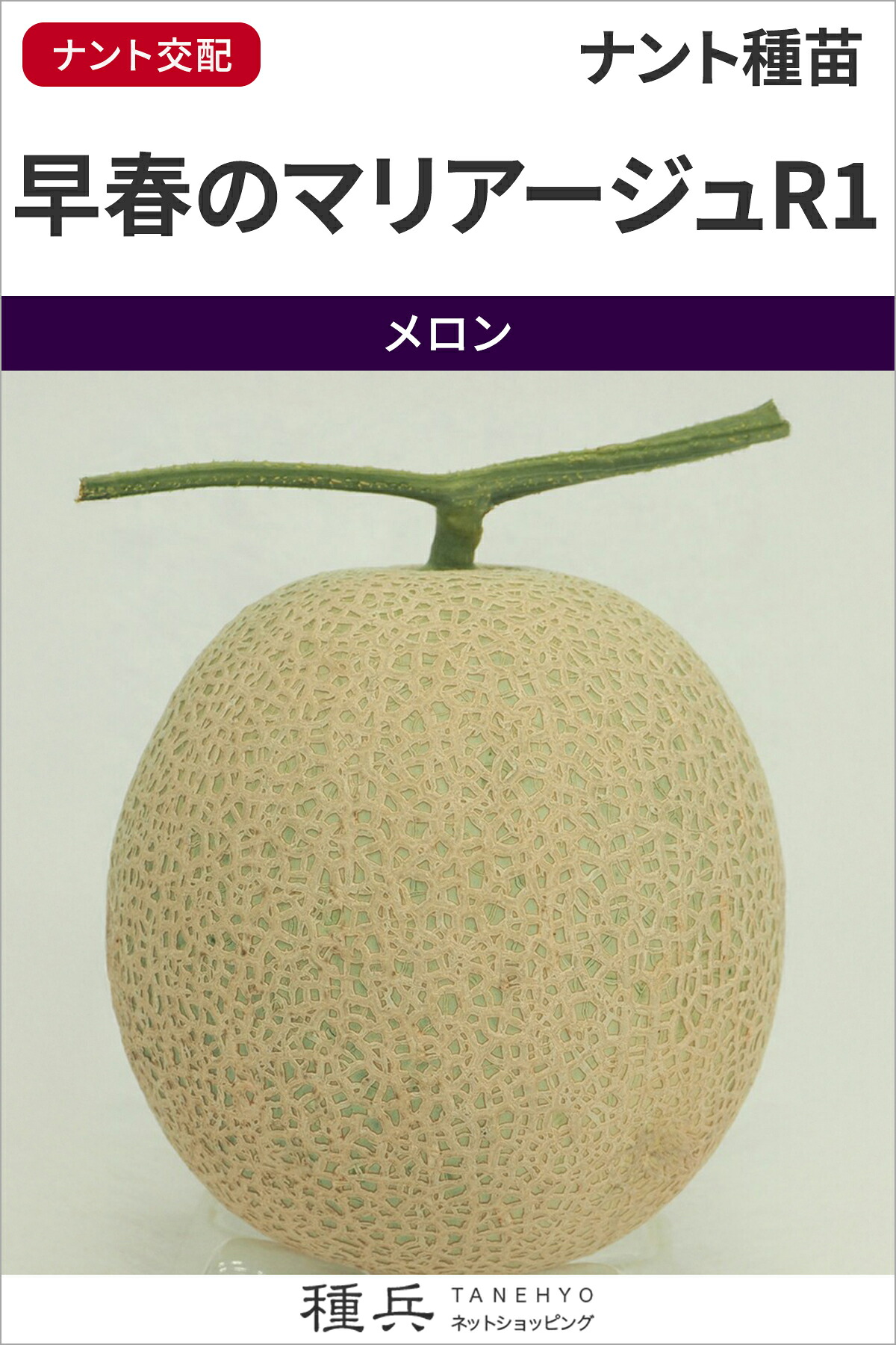 ネットメロン（赤肉） 種 『早春のマリアージュR1』 ナント種苗