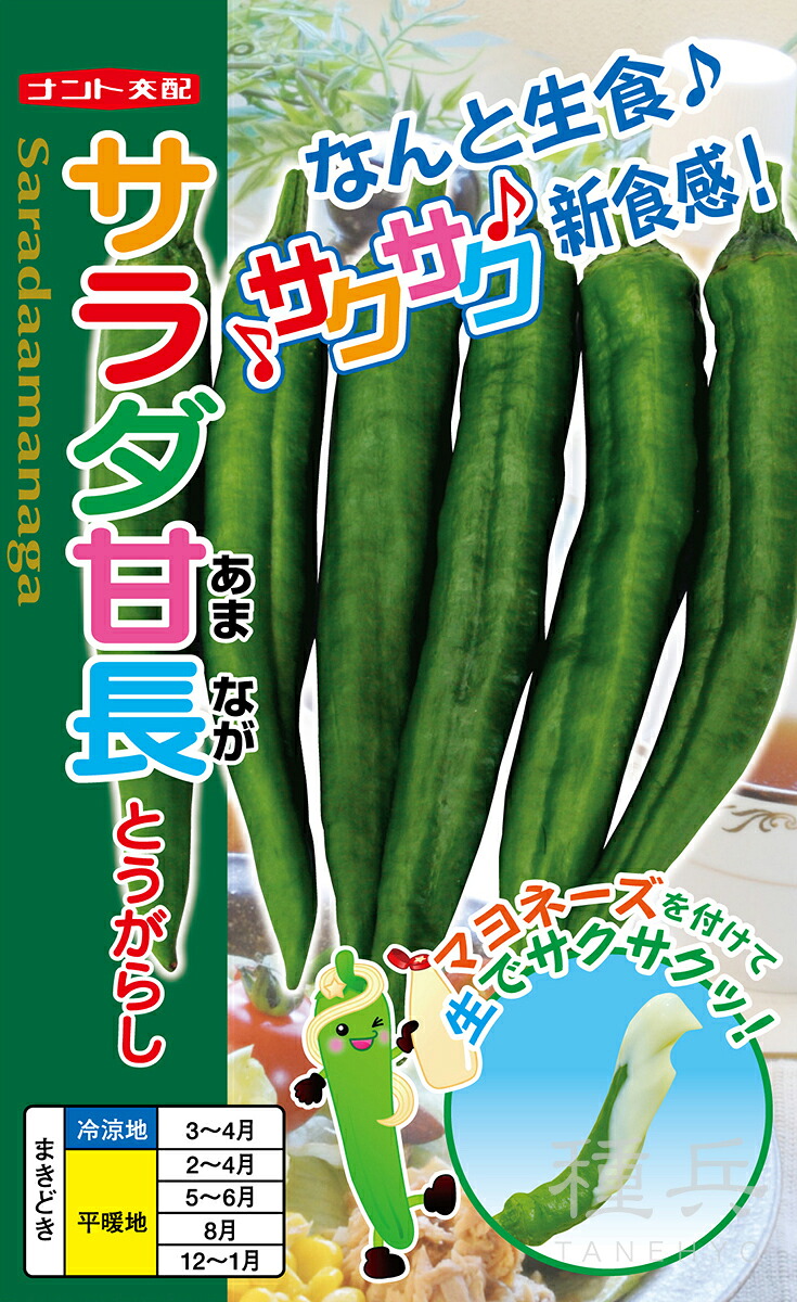 甘長トウガラシ 種 『サラダ甘長（甘味とうがらし）』 ナント種苗