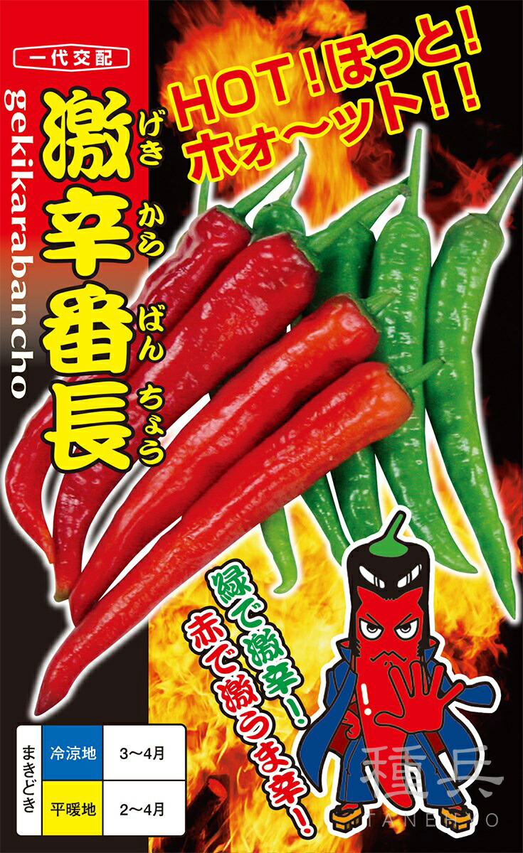 赤唐辛子（ホットパラソルex）10キロ　辛さヤバいです(^^) Amazon.co.jp: ホットパラソルEX 八重農芸の激辛唐辛子種です