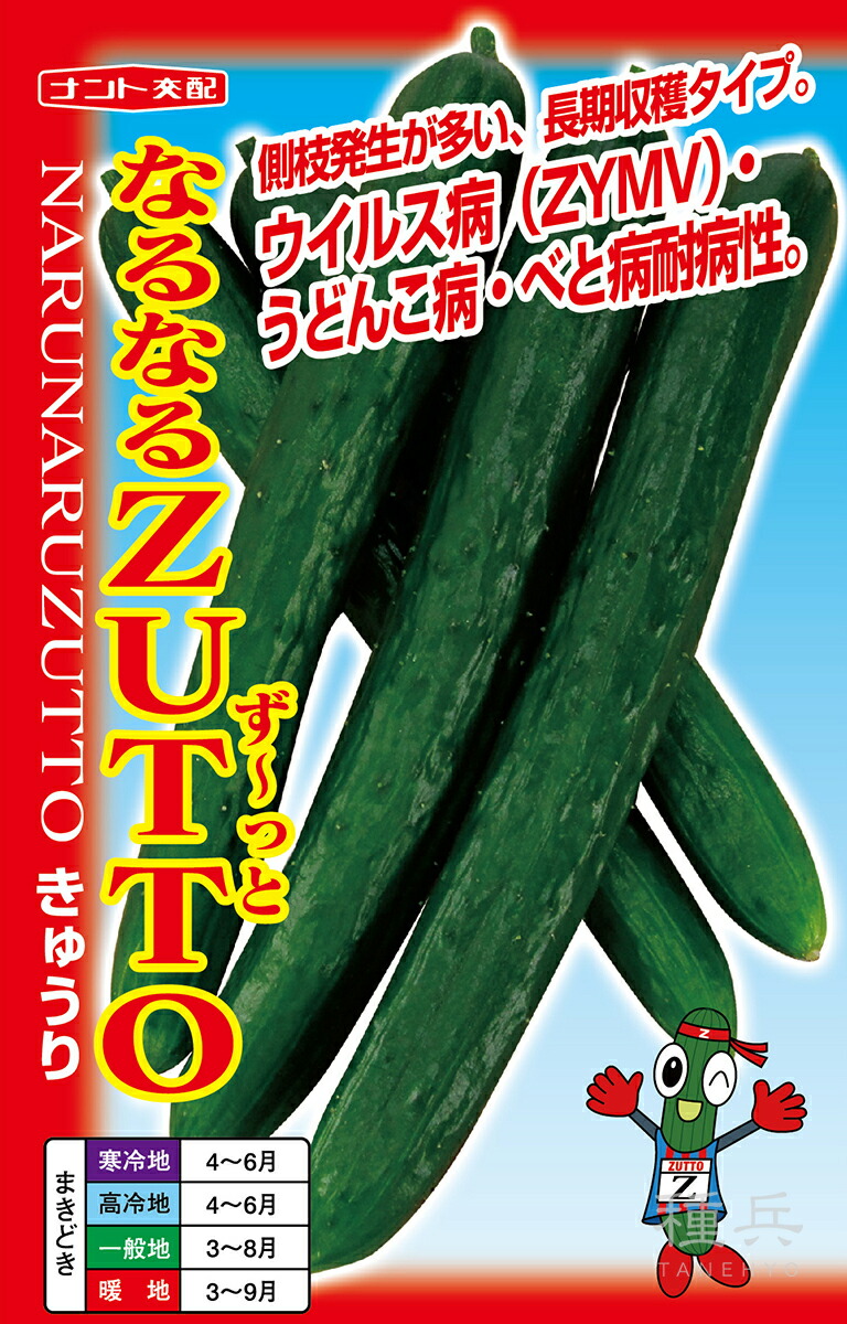黄瓜 種 『なるなるZUTTO』  ナント種苗