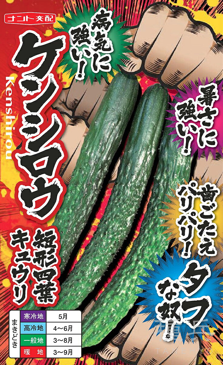 四葉胡瓜 種 『ケンシロウ』  ナント種苗