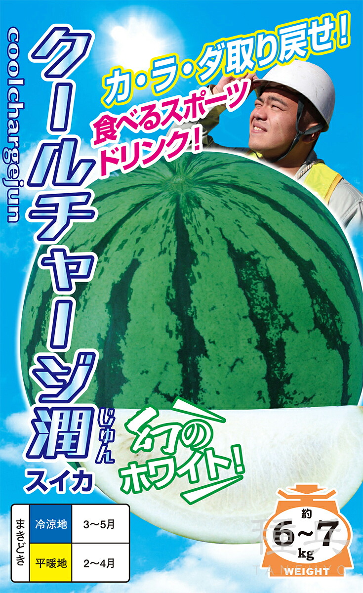 白肉大玉スイカ 種 『クールチャージ潤』 ナント種苗