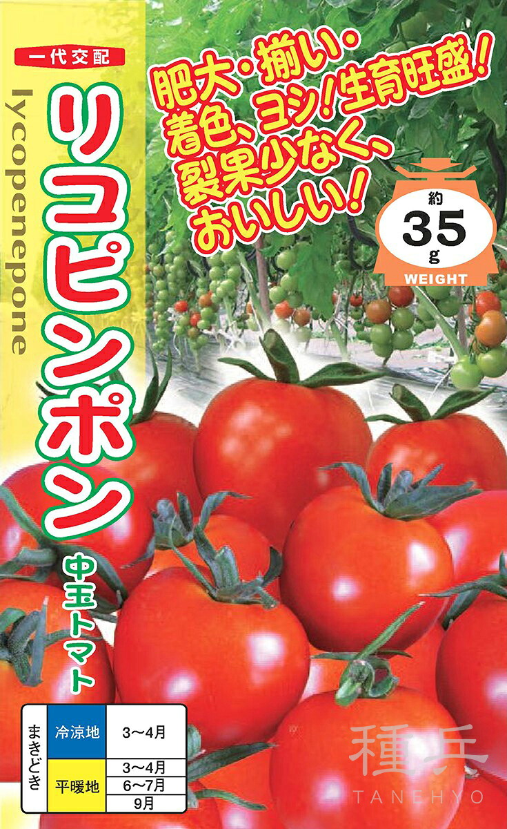 中玉トマト 種 『リコピンポン』 ナント種苗