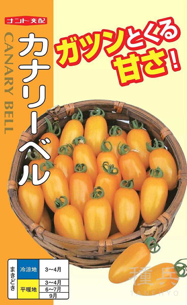 ミニ赤ナス 種 『カナリーベル』  ナント種苗