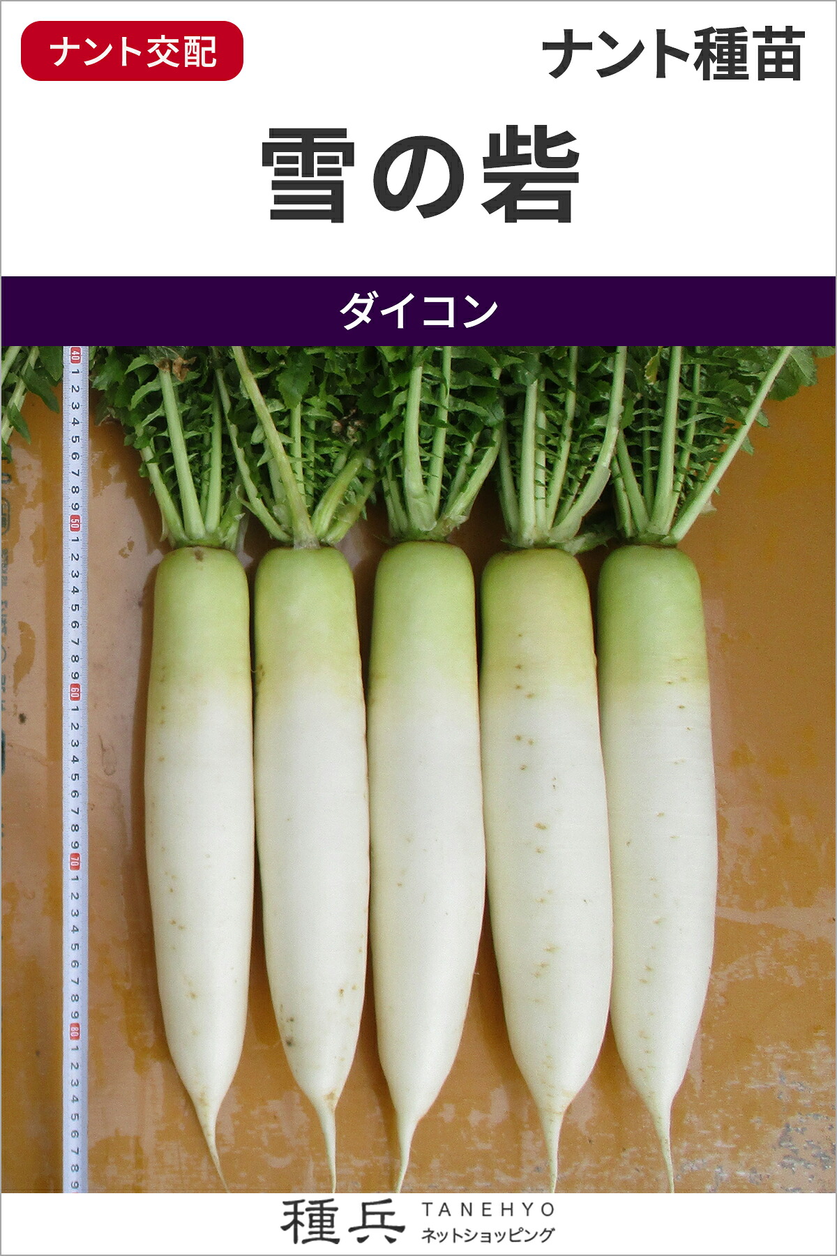 蘿蔔 種 『雪の砦』  ナント種苗 種子-野菜の種子-花・ガーデン・DIY