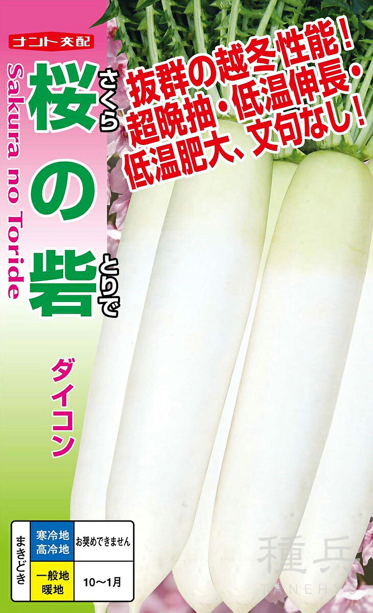 蘿蔔 種 『桜の砦』  ナント種苗 種子-野菜の種子