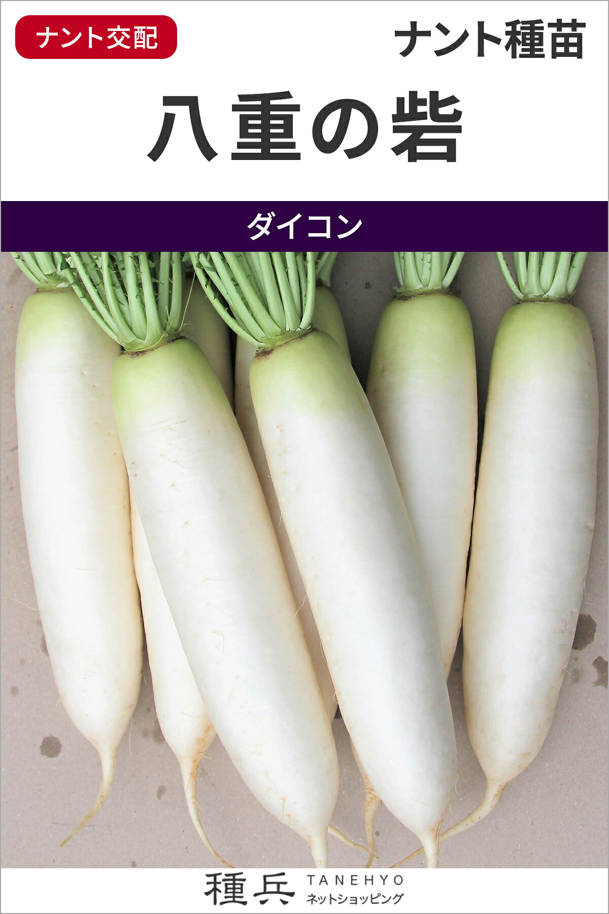 清白 種 『八重の砦』  ナント種苗