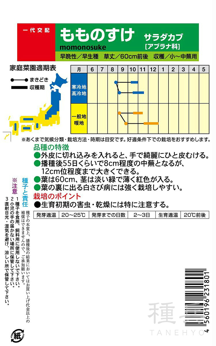 t-nnt-nkb-179-b