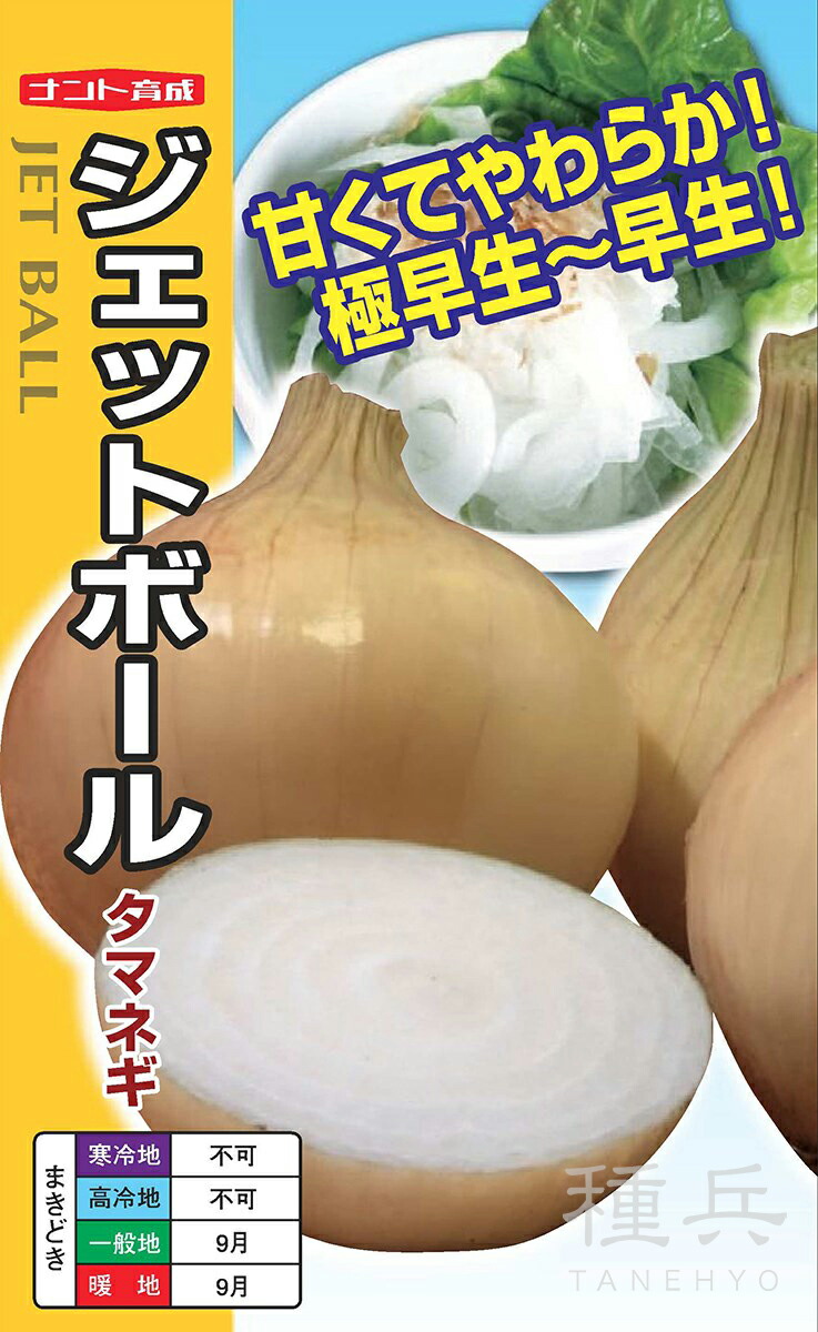 たまねぎ 楽天市場】EXスター 100g 超極早生品種 玉ねぎ たまねぎ 玉葱
