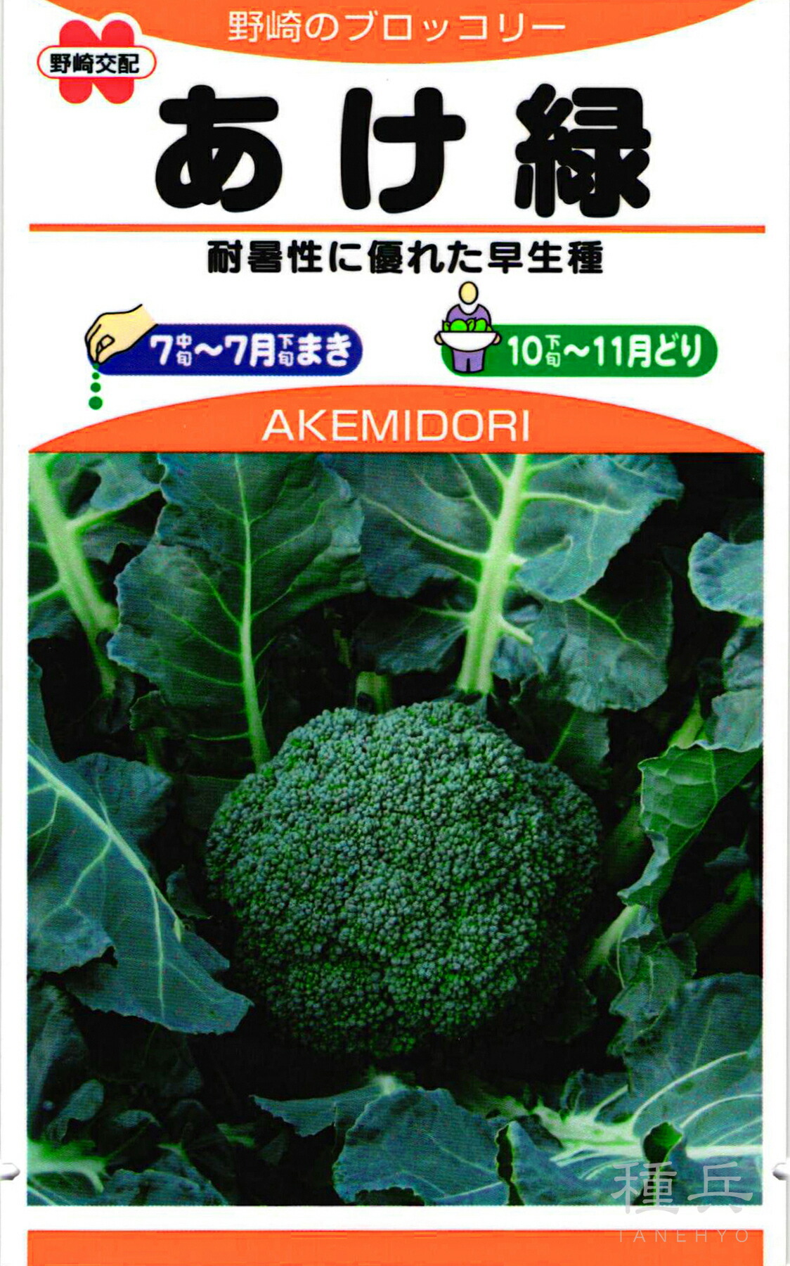 【モリ】ブロッコリー コート種子(クリア1缶）（晩緑2缶） モリ】ブロッコリー コート種子(クリア1缶）（晩緑2缶） 晩緑105