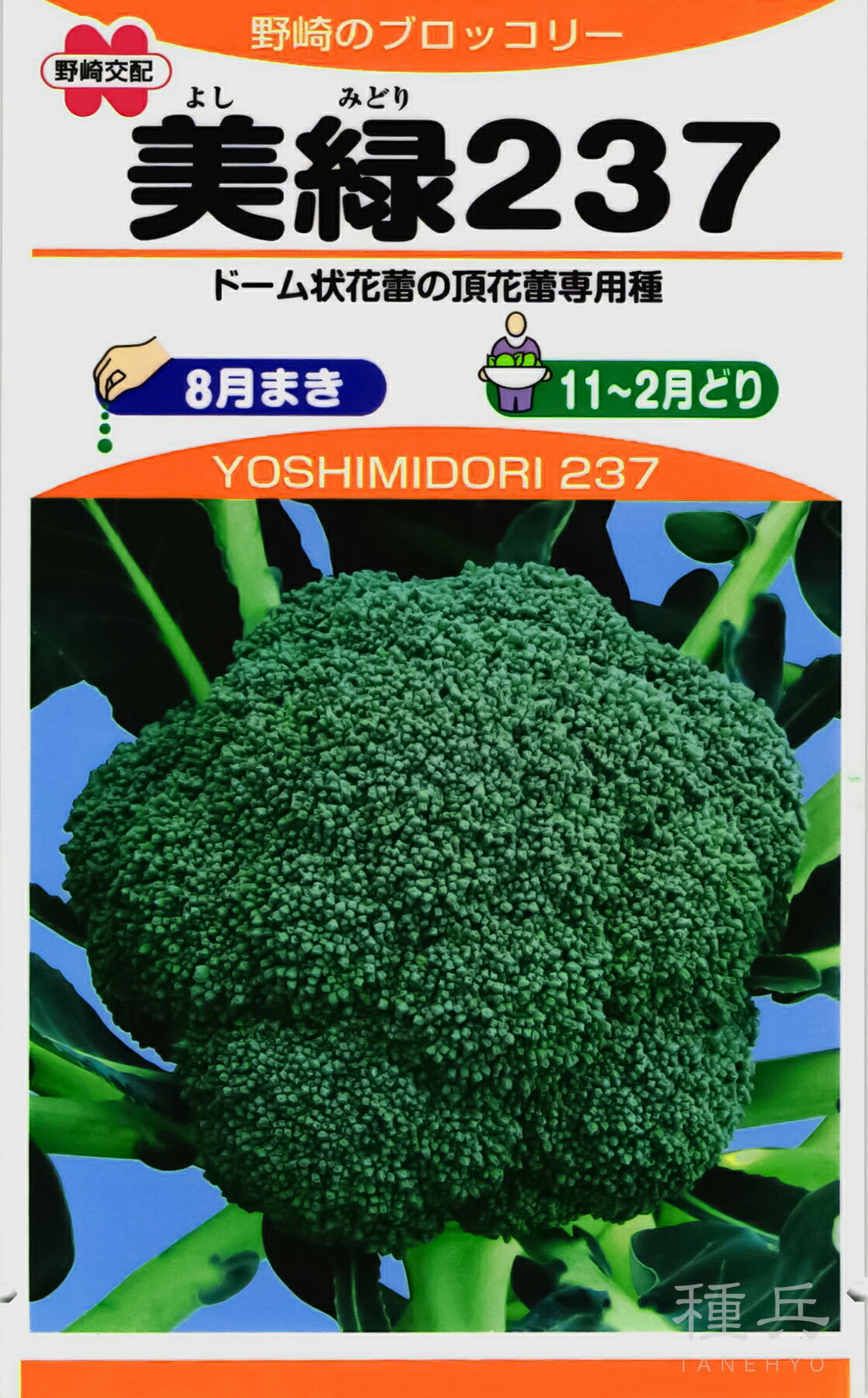 【モリ】ブロッコリー コート種子(クリア1缶）（晩緑2缶） モリ様専用】ブロッコリー コート種子(クリア1缶）（晩緑2缶