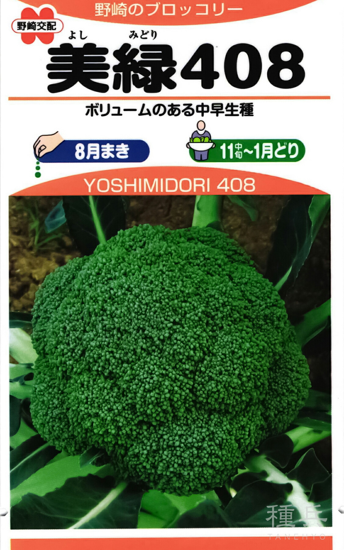 【モリ】ブロッコリー コート種子(クリア1缶）（晩緑2缶） 楽天市場】ブロッコリー 種 『晩緑99』 野崎採種場 : 種兵ネット