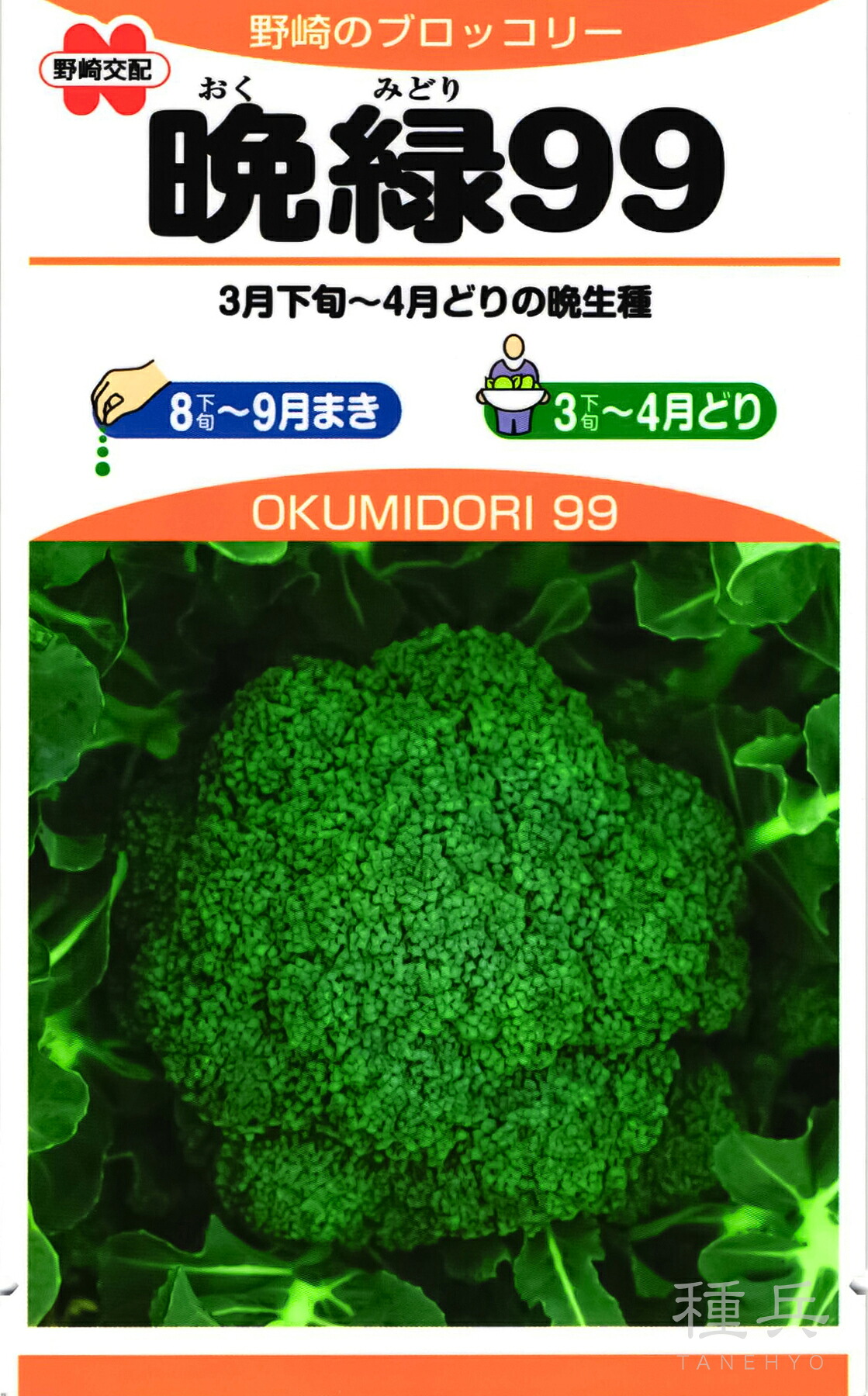 ブロッコリー 種 『晩緑99』 野崎採種場