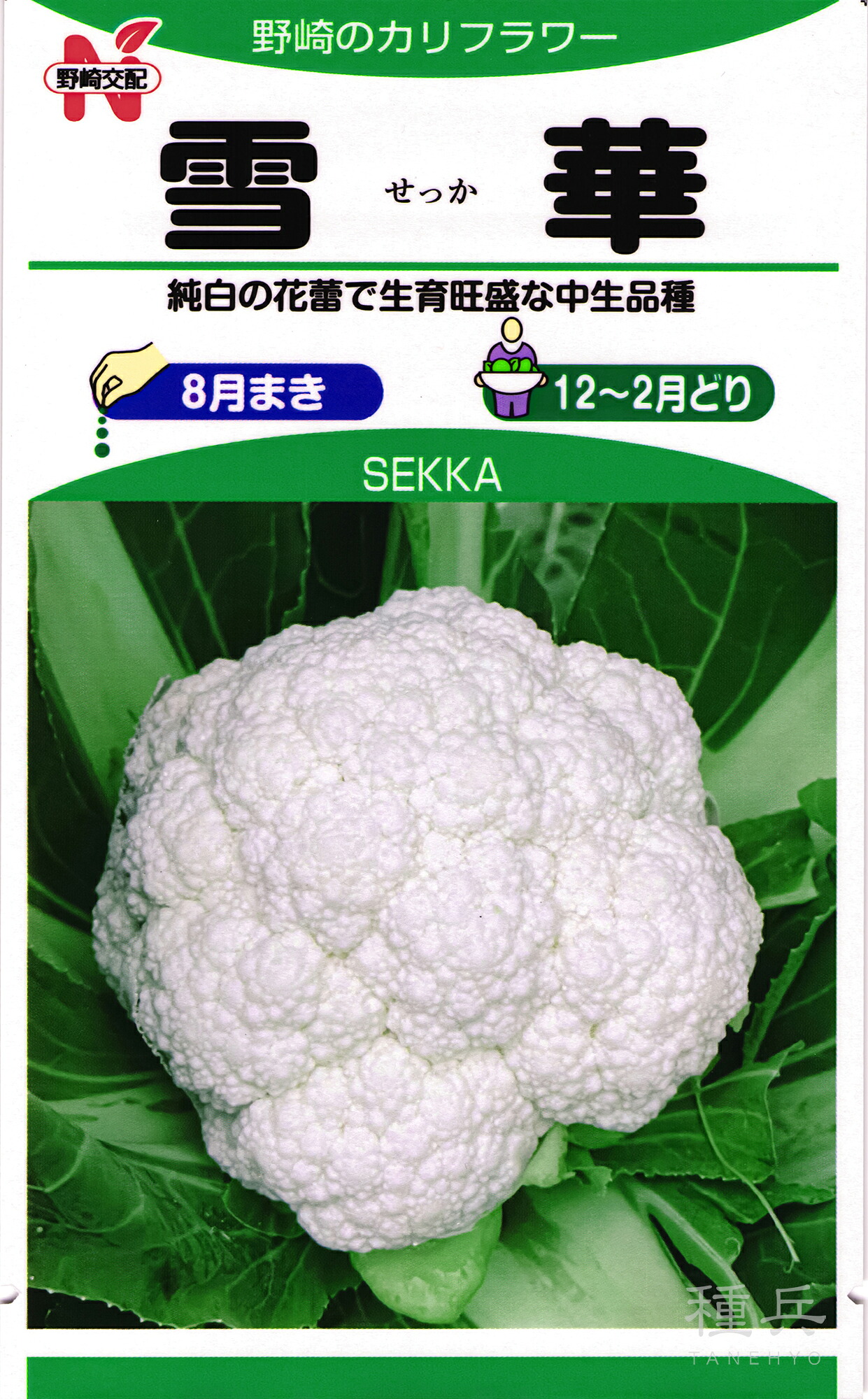 カリフラワー 種 『雪華（NF-717）』  野崎採種場