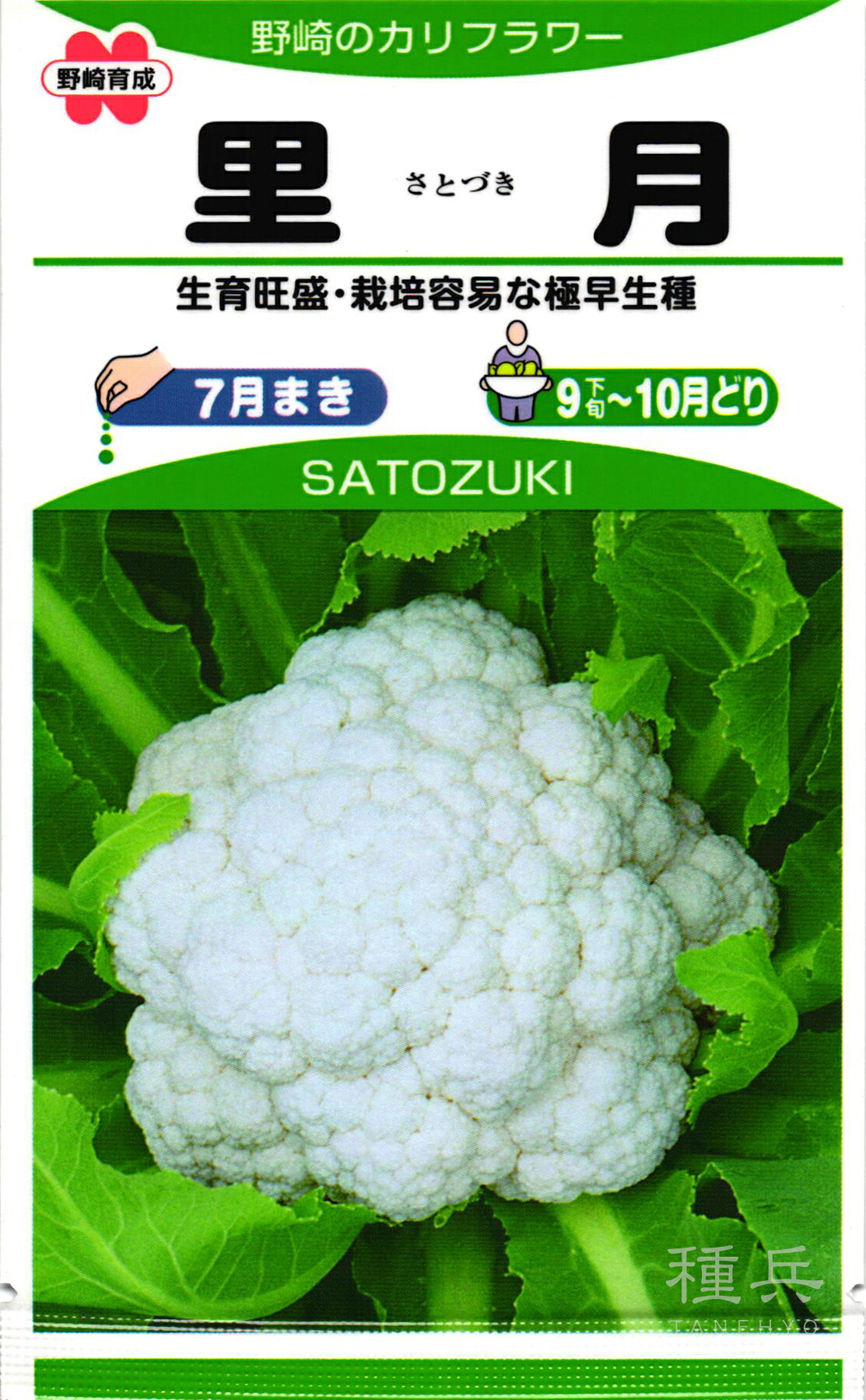 カリフラワー 種 『里月』 野崎採種場