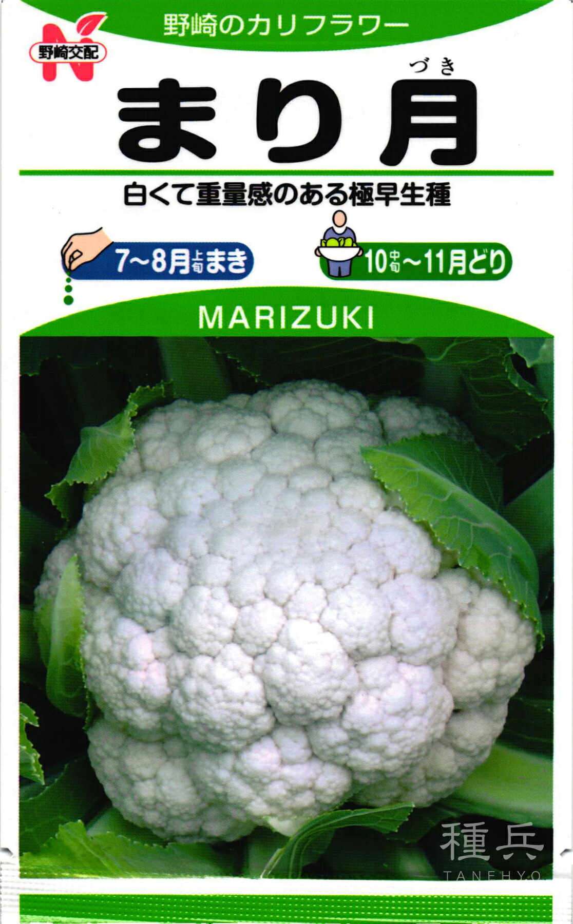 カリフラワー 種 『まり月』  野崎採種場
