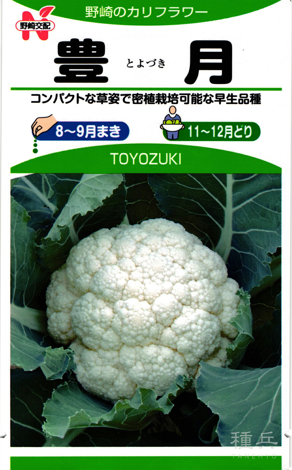 カリフラワー 種 『豊月』  野崎採種場