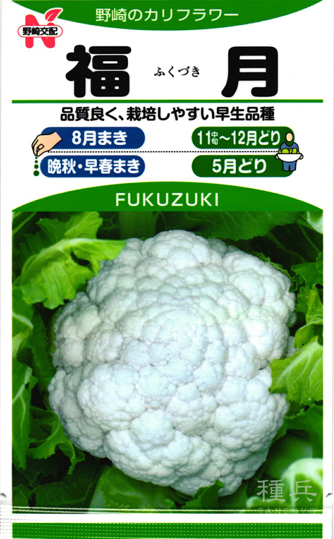 カリフラワー 種 『福月』  野崎採種場