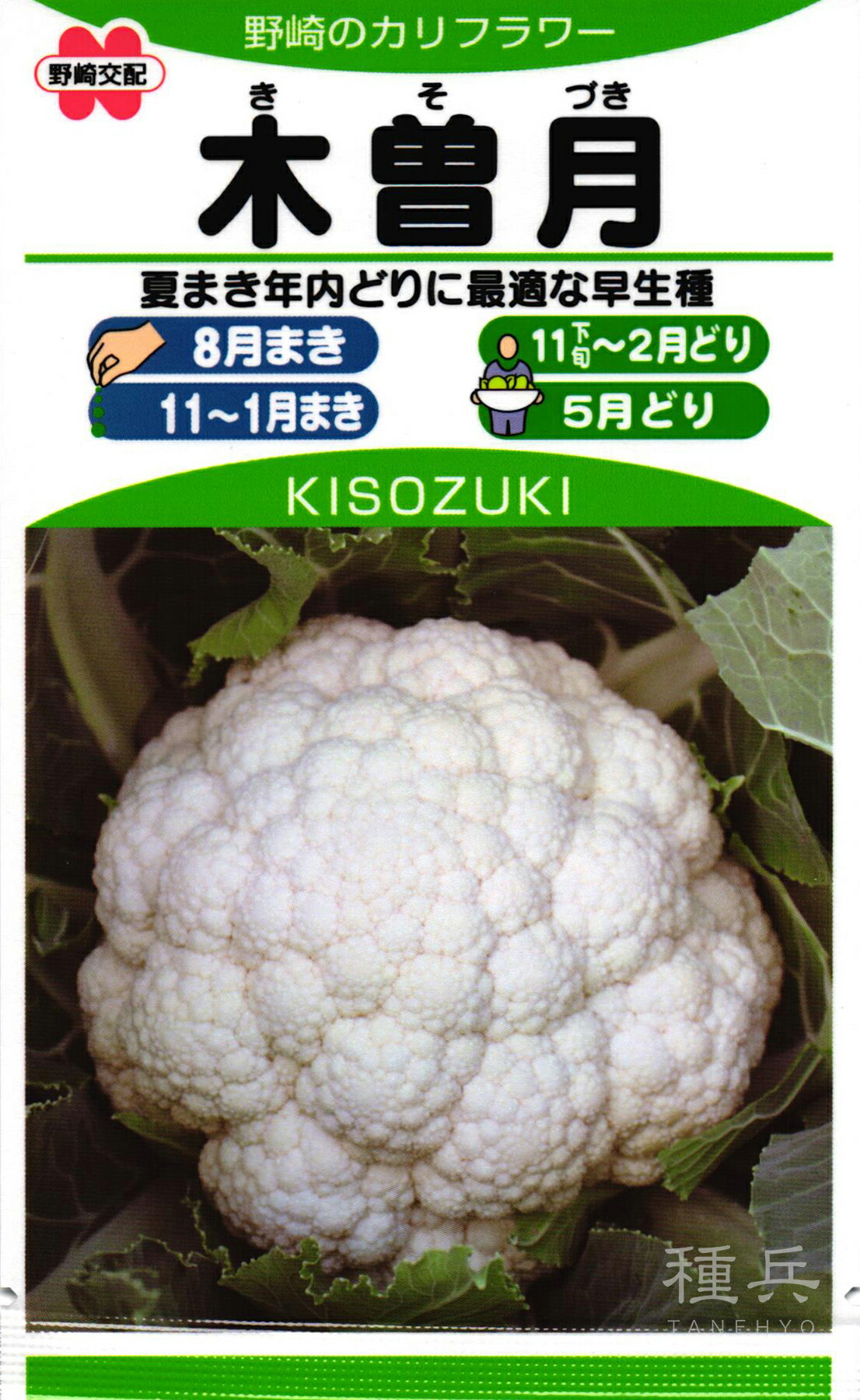 カリフラワー 種 『木曽月』  野崎採種場