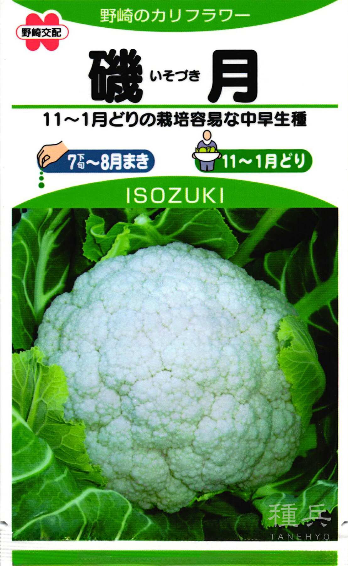 カリフラワー 種 『磯月』  野崎採種場