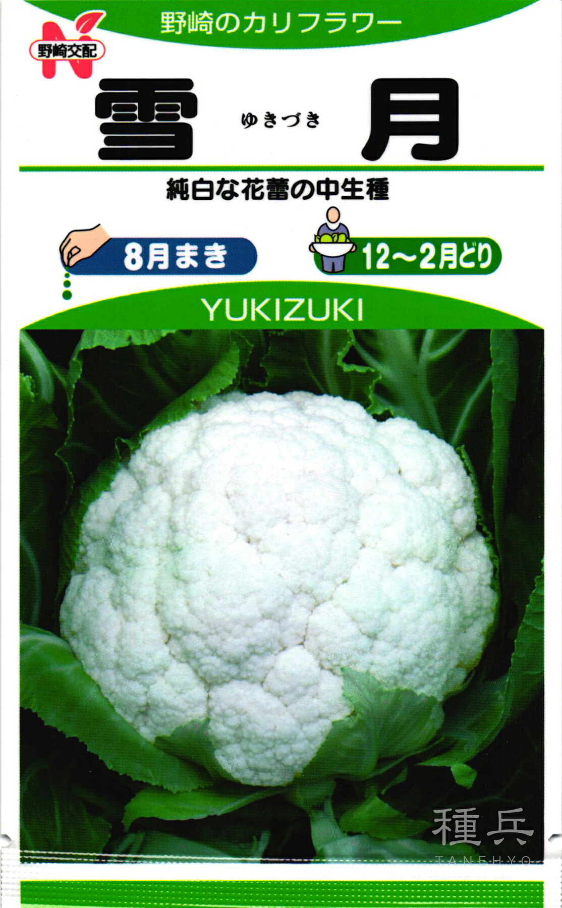 カリフラワー 種 『雪月』  野崎採種場
