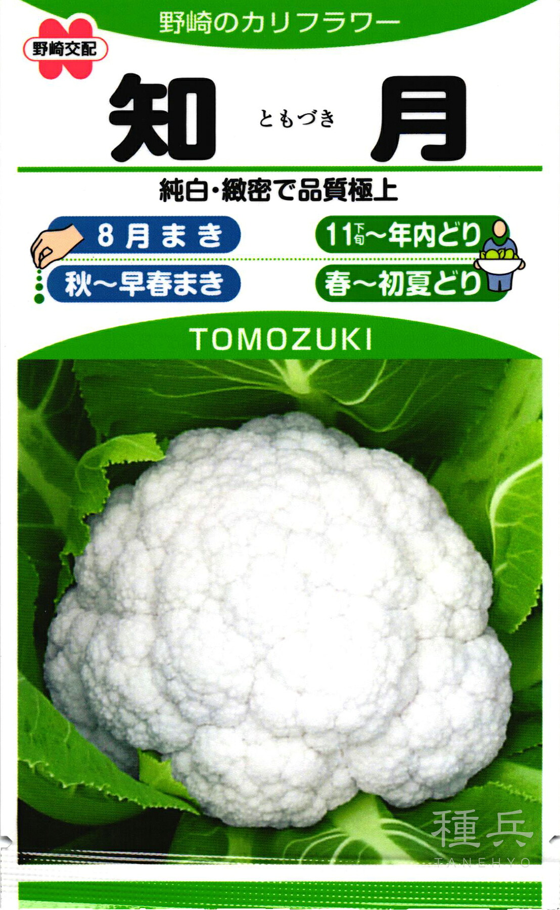 カリフラワー 種 『知月』  野崎採種場