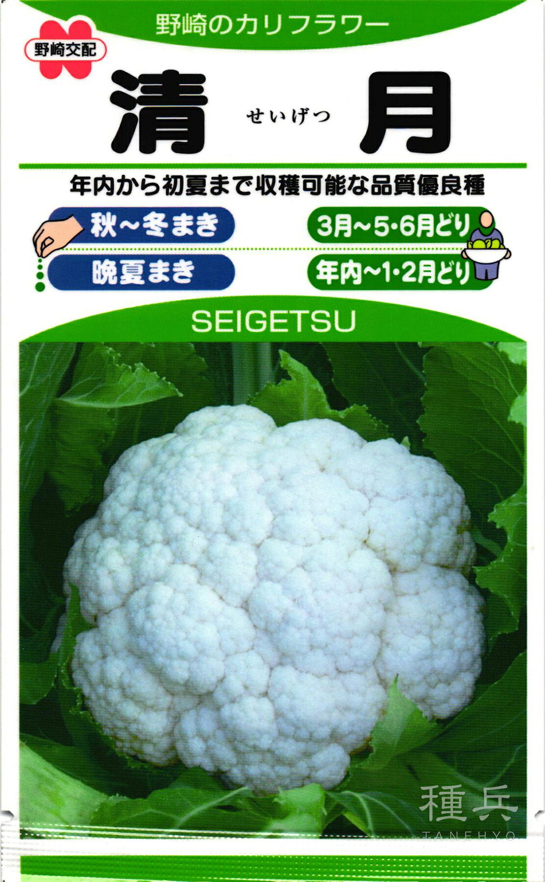 カリフラワー 種 『清月』  野崎採種場