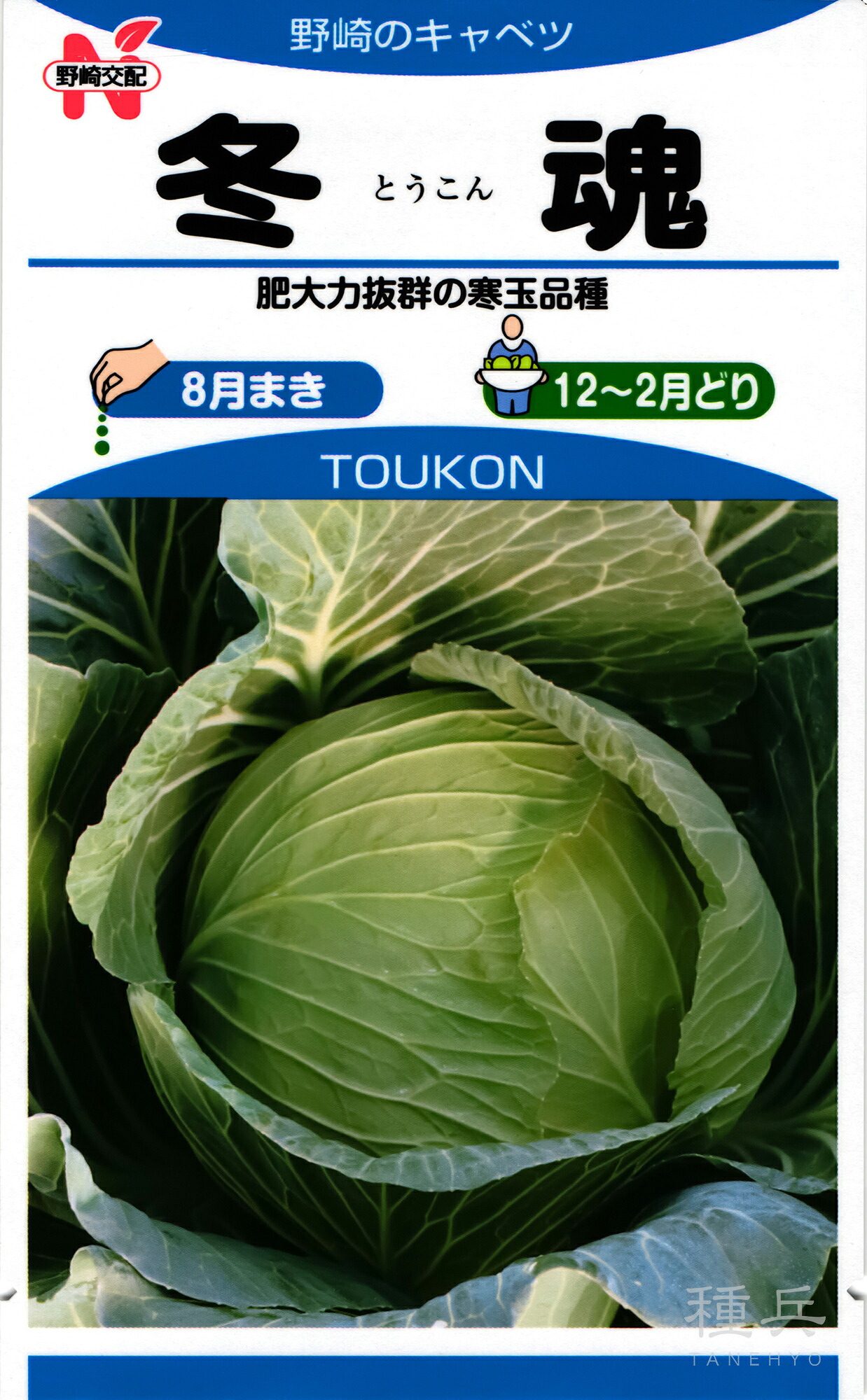 寒玉キャベツ 種 『冬魂（N-243）』 野崎採種場