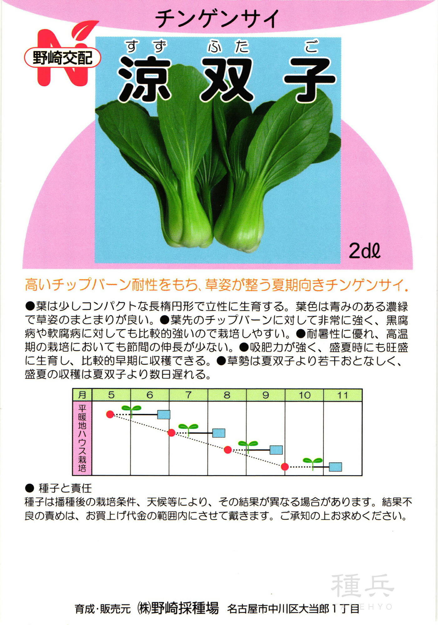 パクチー＆ミニチンゲンサイなどの注文専用ページ 楽天市場】ミニ青梗菜〈ミニチンゲンサイ〉1パック、40g〜60g