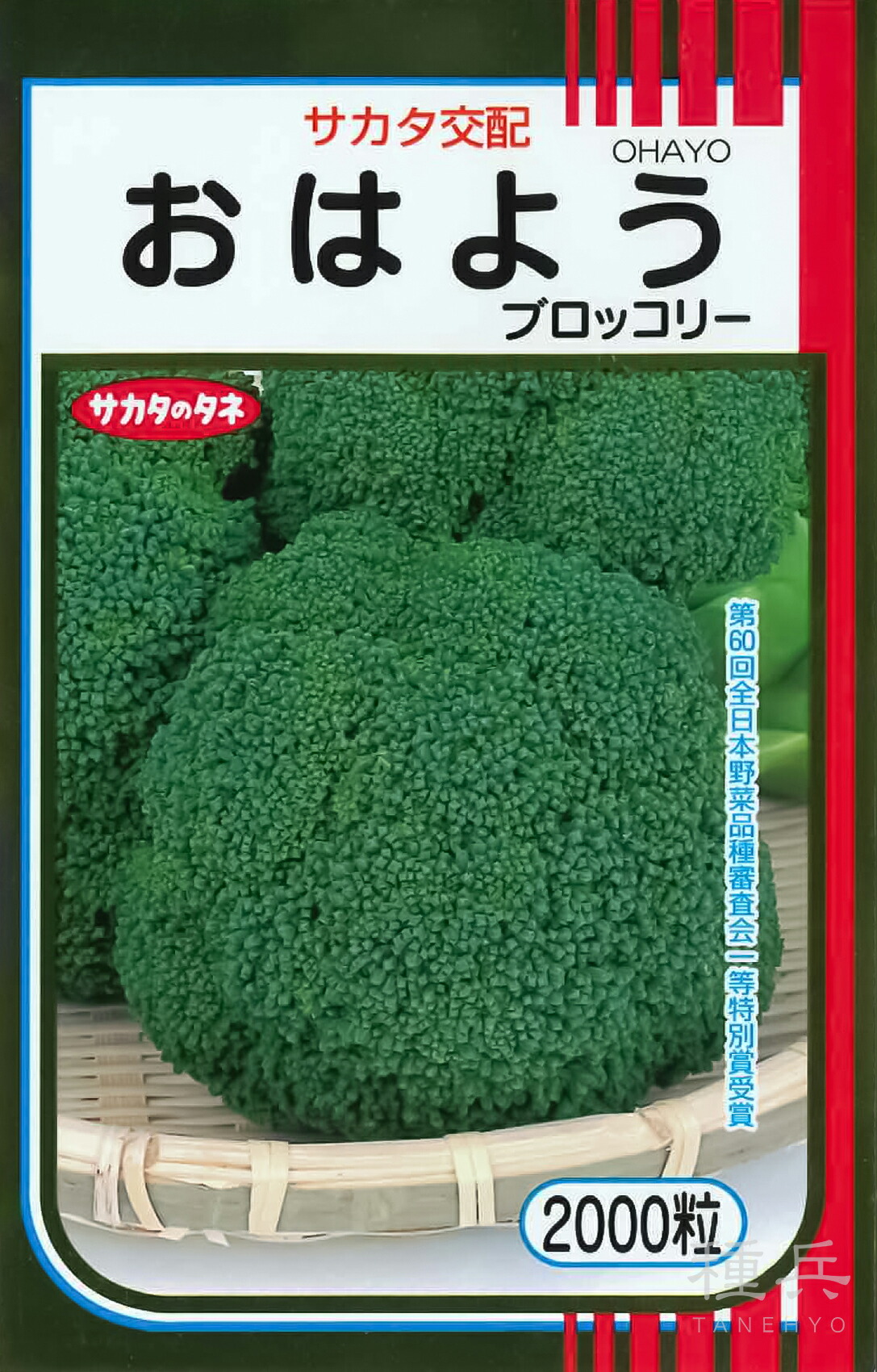 楽天市場】アーリーキャノン（SK8-123） ブロッコリー種子 【根