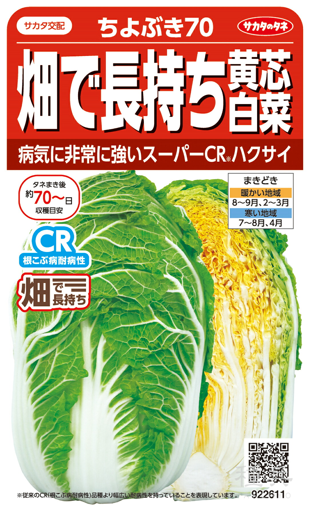 黄芯ハクサイ 種 『ちよぶき70』  サカタのタネ