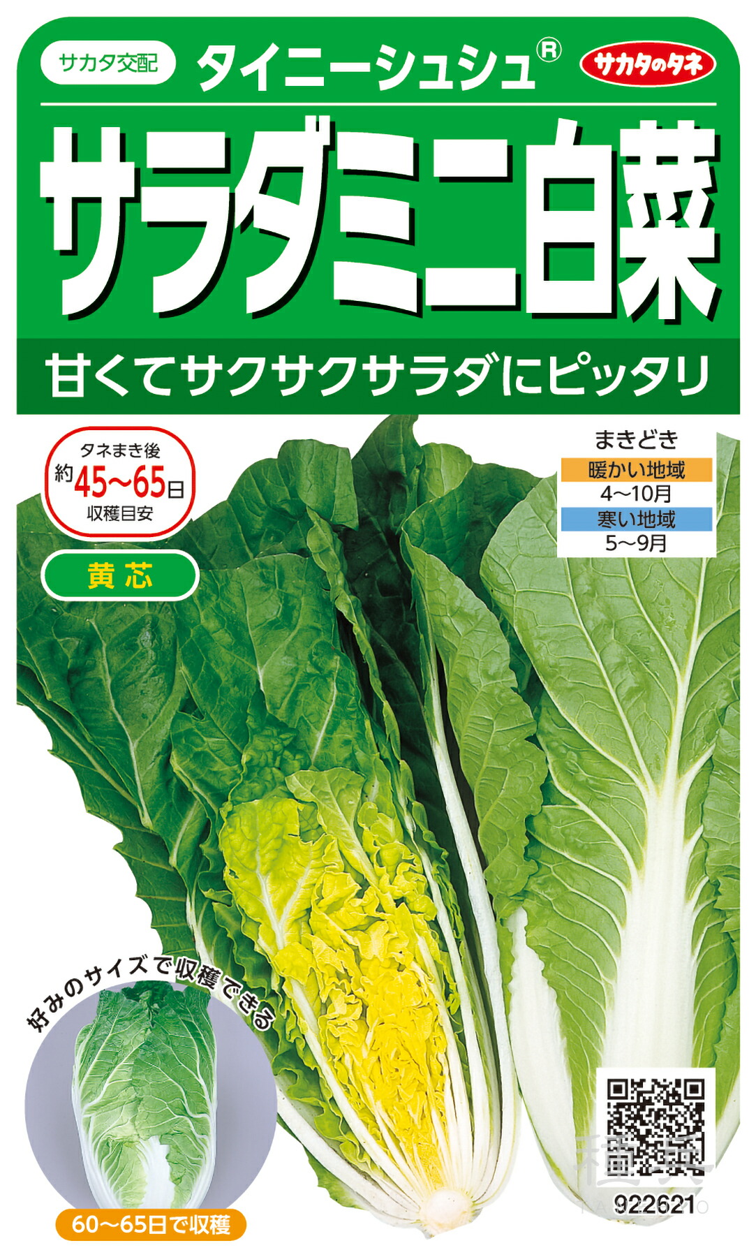 ミニハクサイ 種 『タイニーシュシュ』  サカタのタネ