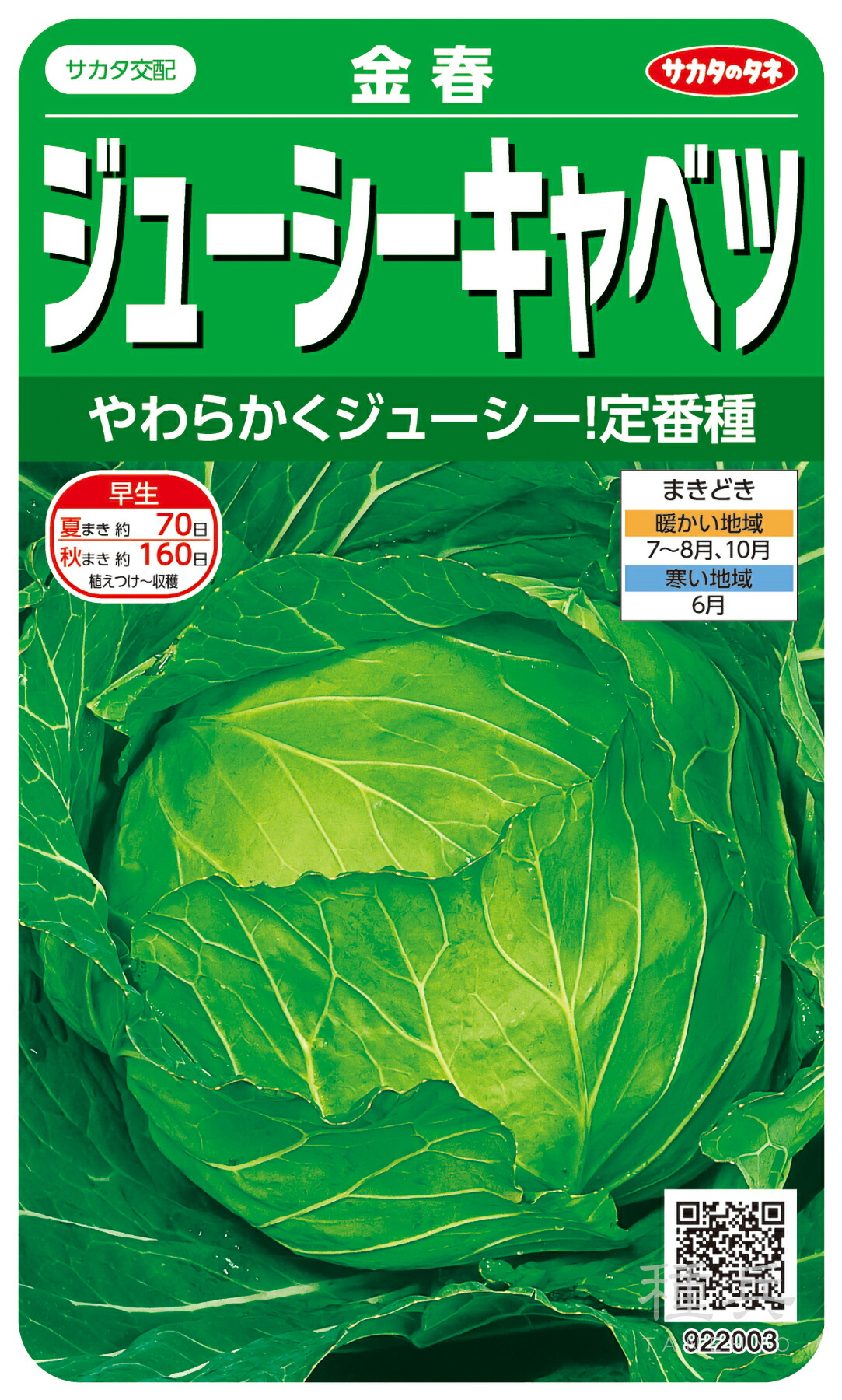 年内～早春・早どり早生球菜 種 『金春』  サカタのタネ
