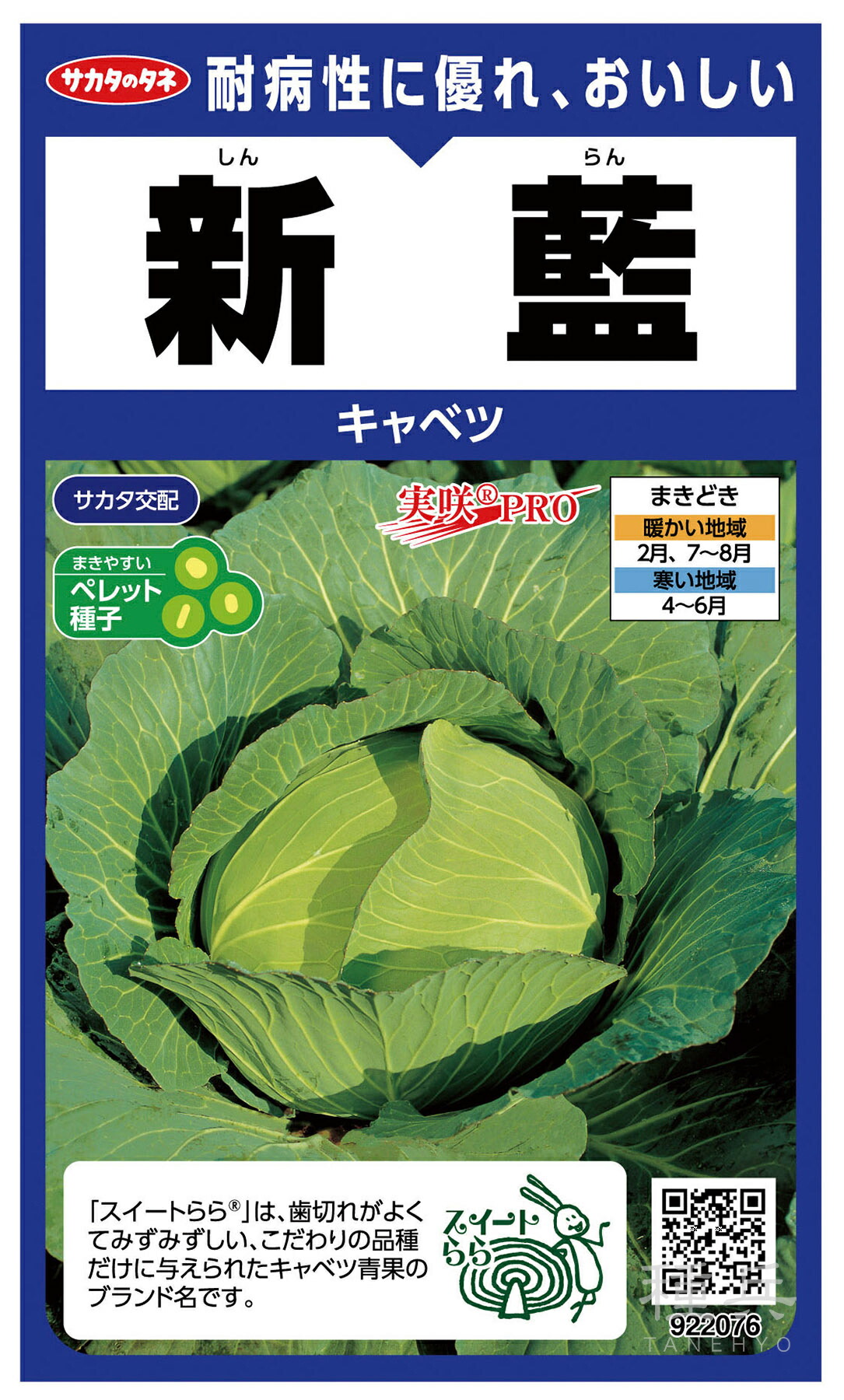 キャベツ 種 『新藍』 サカタのタネ