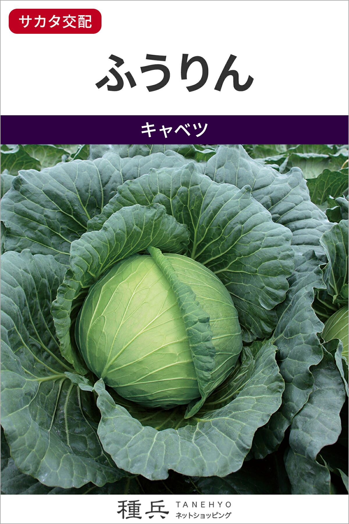 中生球菜 種 『ふうりん』  サカタのタネ